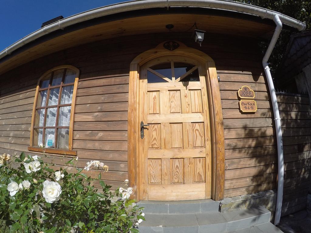 Omi Kika B&B Villarrica Ngoại thất bức ảnh