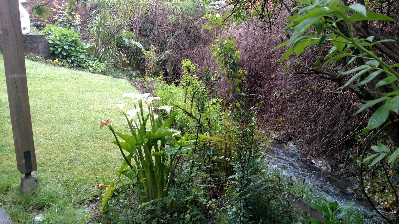 Omi Kika B&B Villarrica Ngoại thất bức ảnh