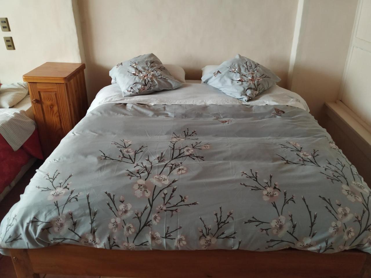 Omi Kika B&B Villarrica Ngoại thất bức ảnh